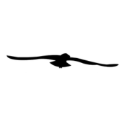 Nordestic logo